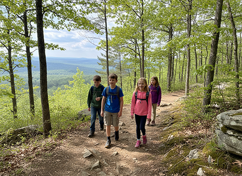 Sassafras Mountain Trail